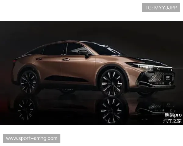 皇冠新二手机登录地址官方入口，用户登录常见问题及解决方案全攻略